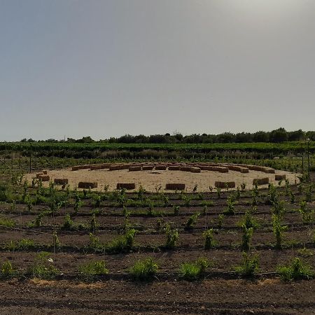 Cozzo Del Parroco - Ospitalita Tra I Vigneti Βίλα Granelli Εξωτερικό φωτογραφία