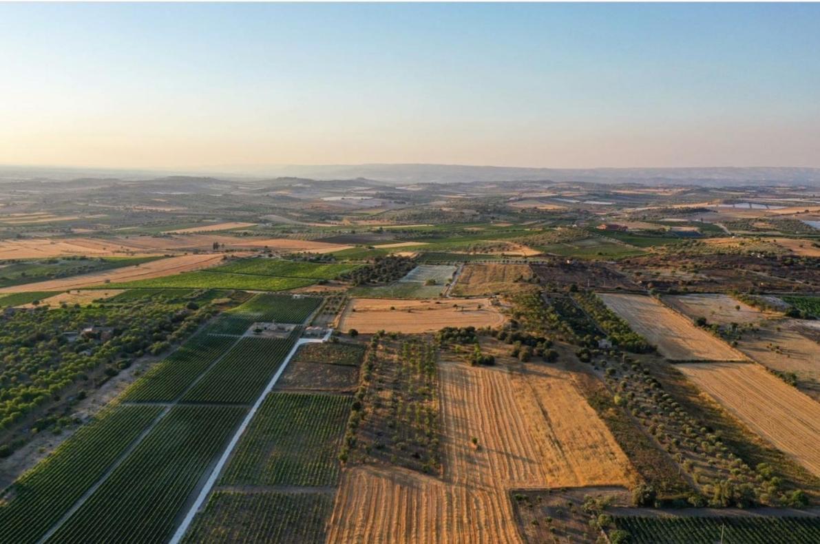 Cozzo Del Parroco - Ospitalita Tra I Vigneti Βίλα Granelli Εξωτερικό φωτογραφία