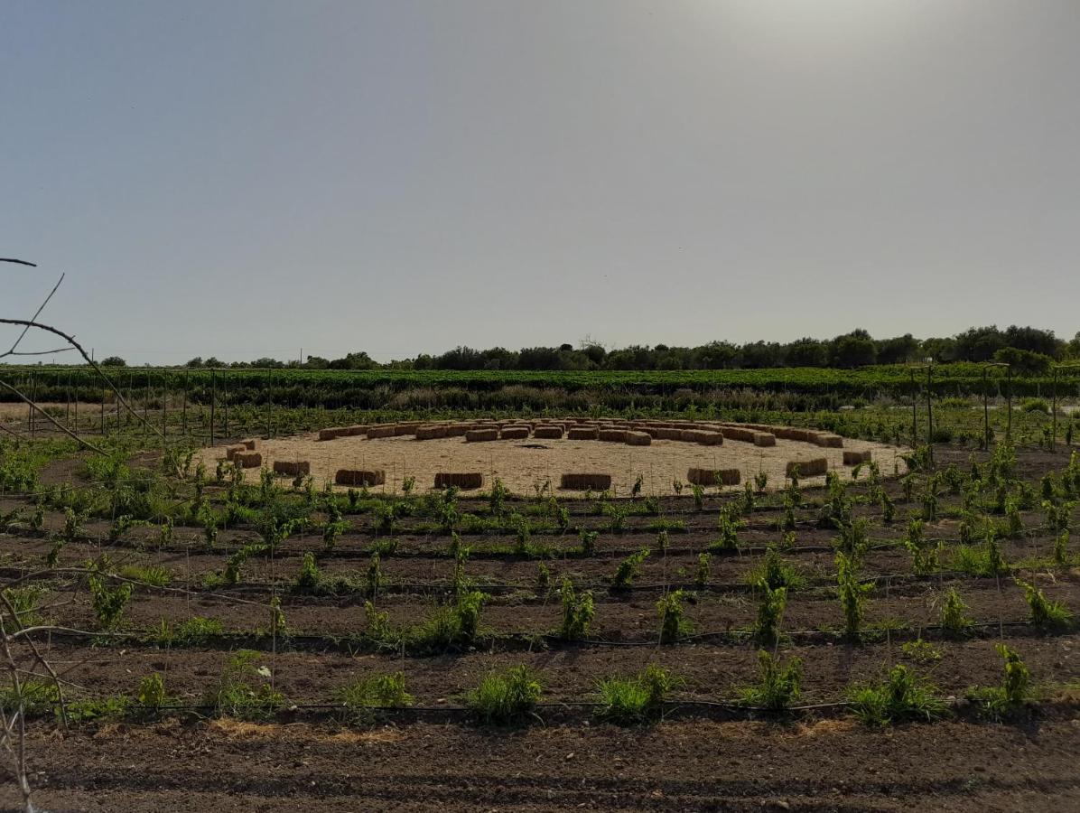 Cozzo Del Parroco - Ospitalita Tra I Vigneti Βίλα Granelli Εξωτερικό φωτογραφία